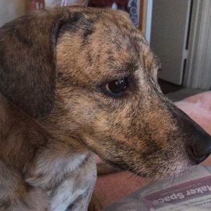 Meet your Posher, Lori